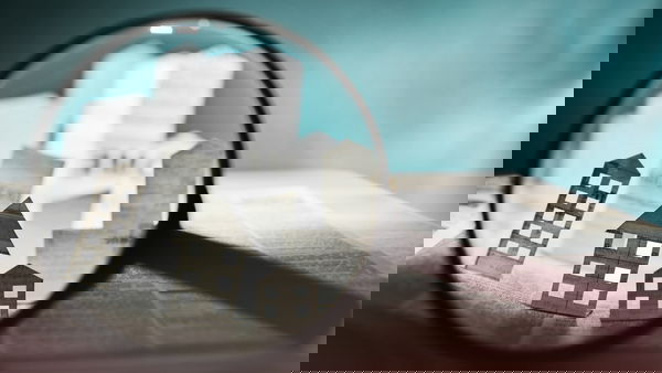 report-website-(8)-new