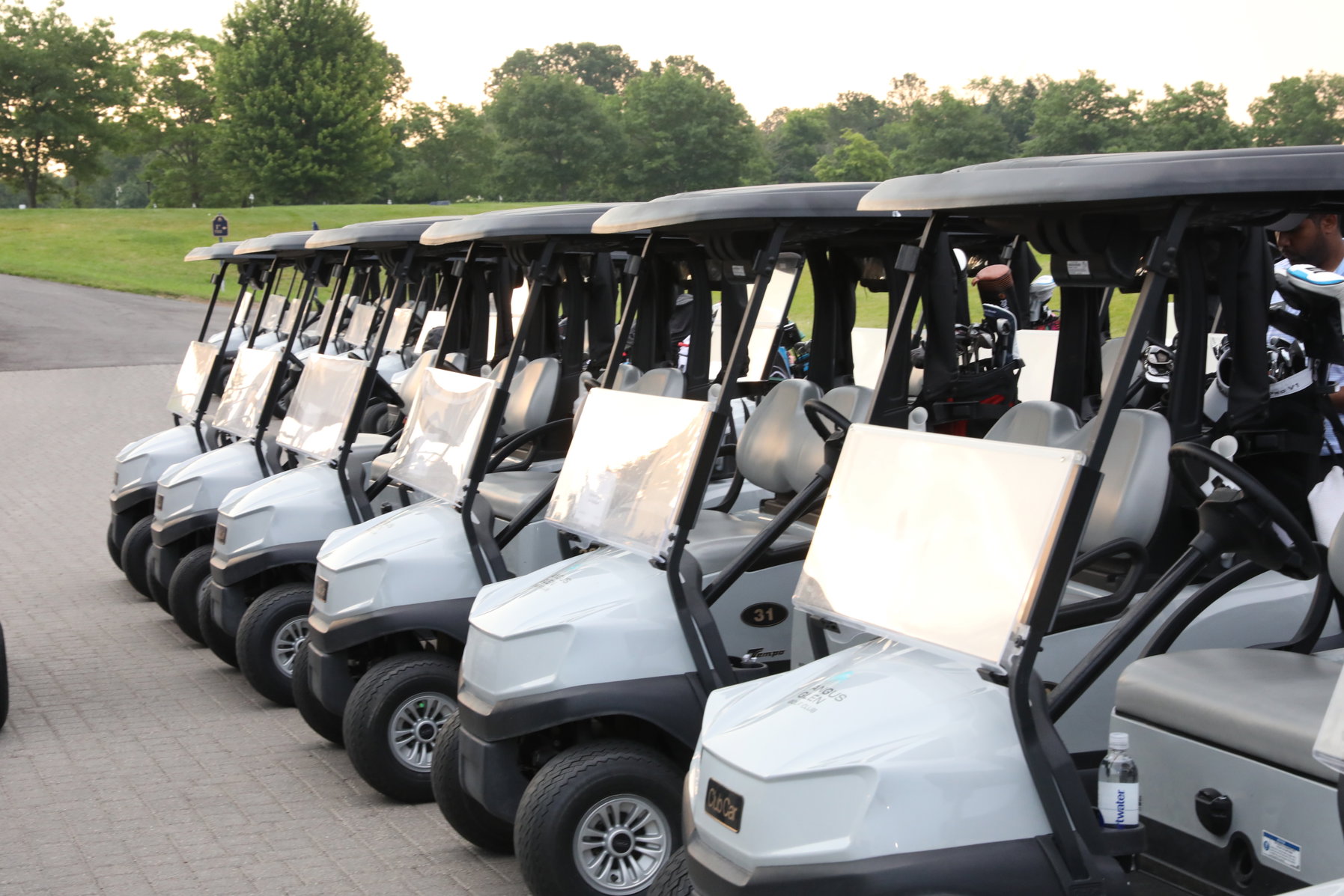 Row of golf carts lined up in front of trees and clear a sky